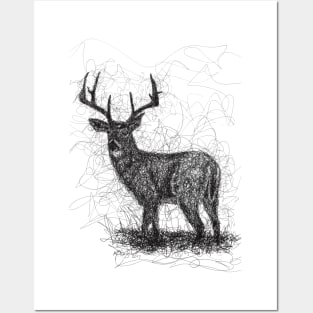 Deer Buck With Antlers Drawing Posters and Art